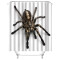 Rideau de douche Araignée couleur 120x180 cm - miniature variant 3