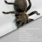 Rideau de douche Araignée couleur 90x180 cm - miniature variant 4