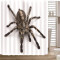 Rideau de douche Araignée 150x180 cm - miniature