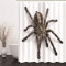 Rideau de douche Araignée 150x180 cm - miniature variant 2