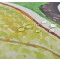 Rideau de douche Araignée 150x180 cm - miniature variant 6
