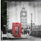 Rideau de douche Londres rouge gris 175x200 cm - miniature variant 3